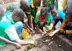 Jardin agroécologique Paas Yam_03