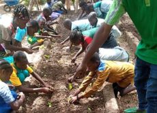 Jardin agroécologique Paas Yam_04