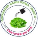 Logo-BangrNooma