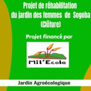 Sogoba_Jardin_communautaire_03